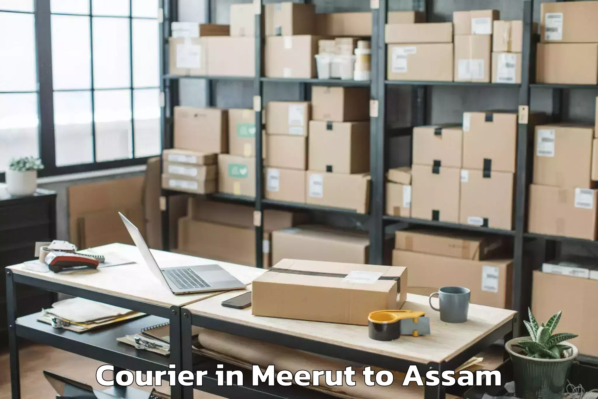 Book Meerut to Bijni Courier Online